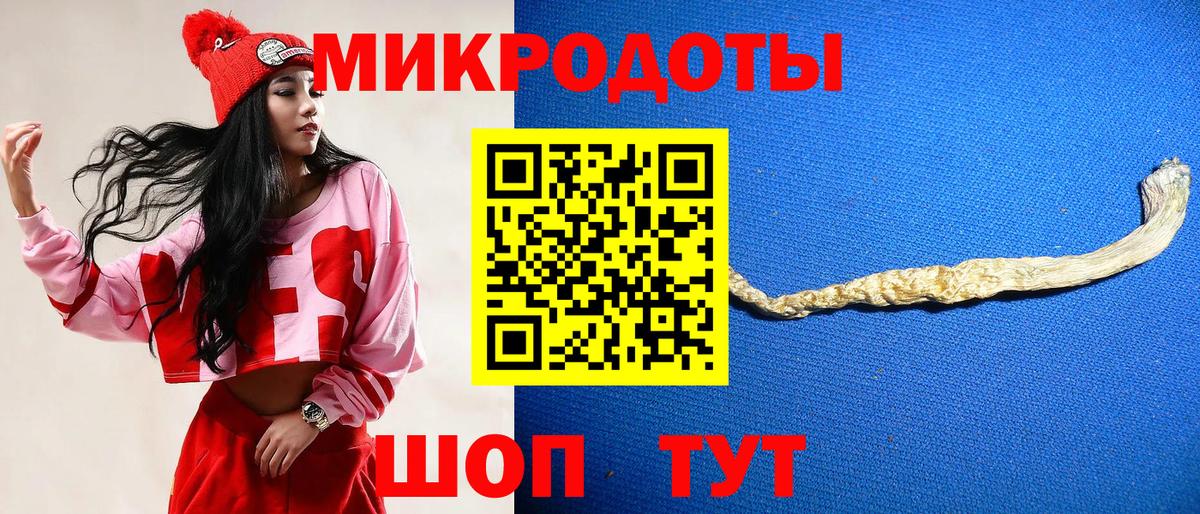 Галлюциногенные грибы Psilocybe Северобайкальск